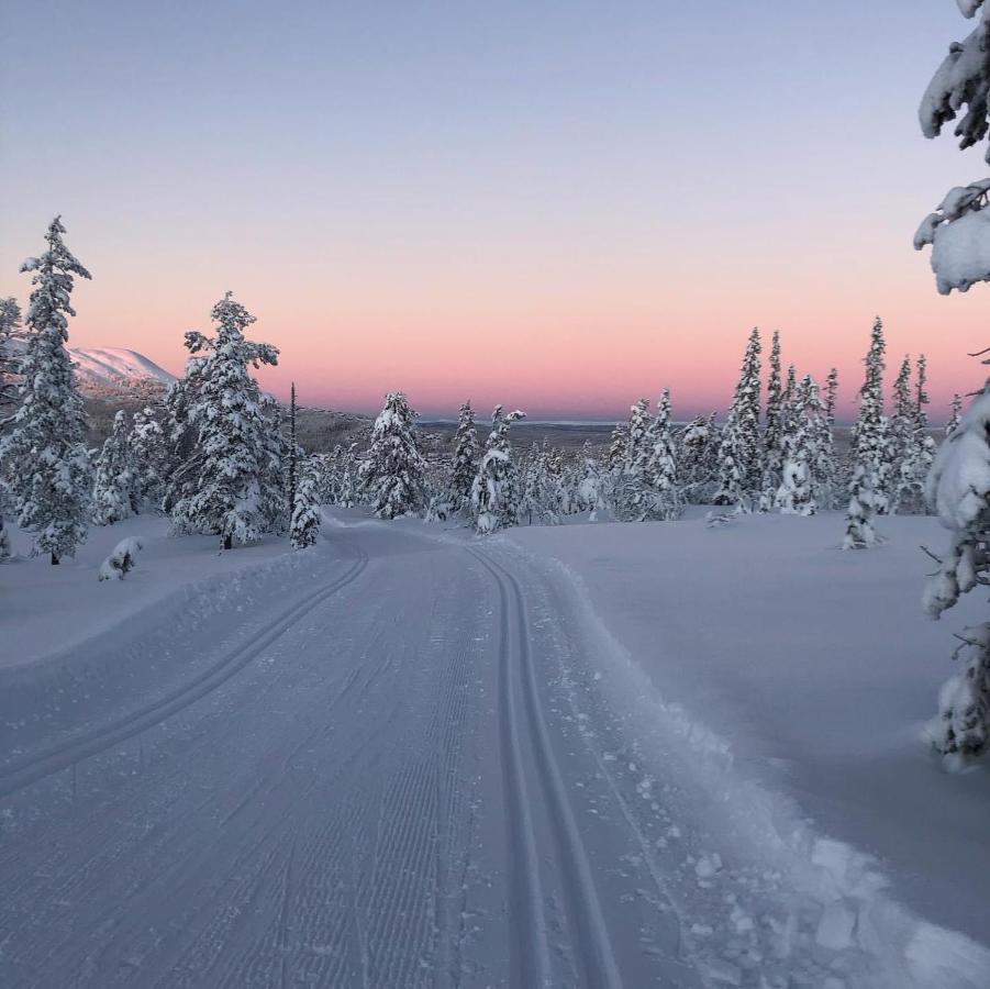 In The Middle Of Trysil Fjellet - Welcome Center - Apartment With 4 Bedrooms And Sauna - By Bike Arena And Ski Lift Eksteriør bilde