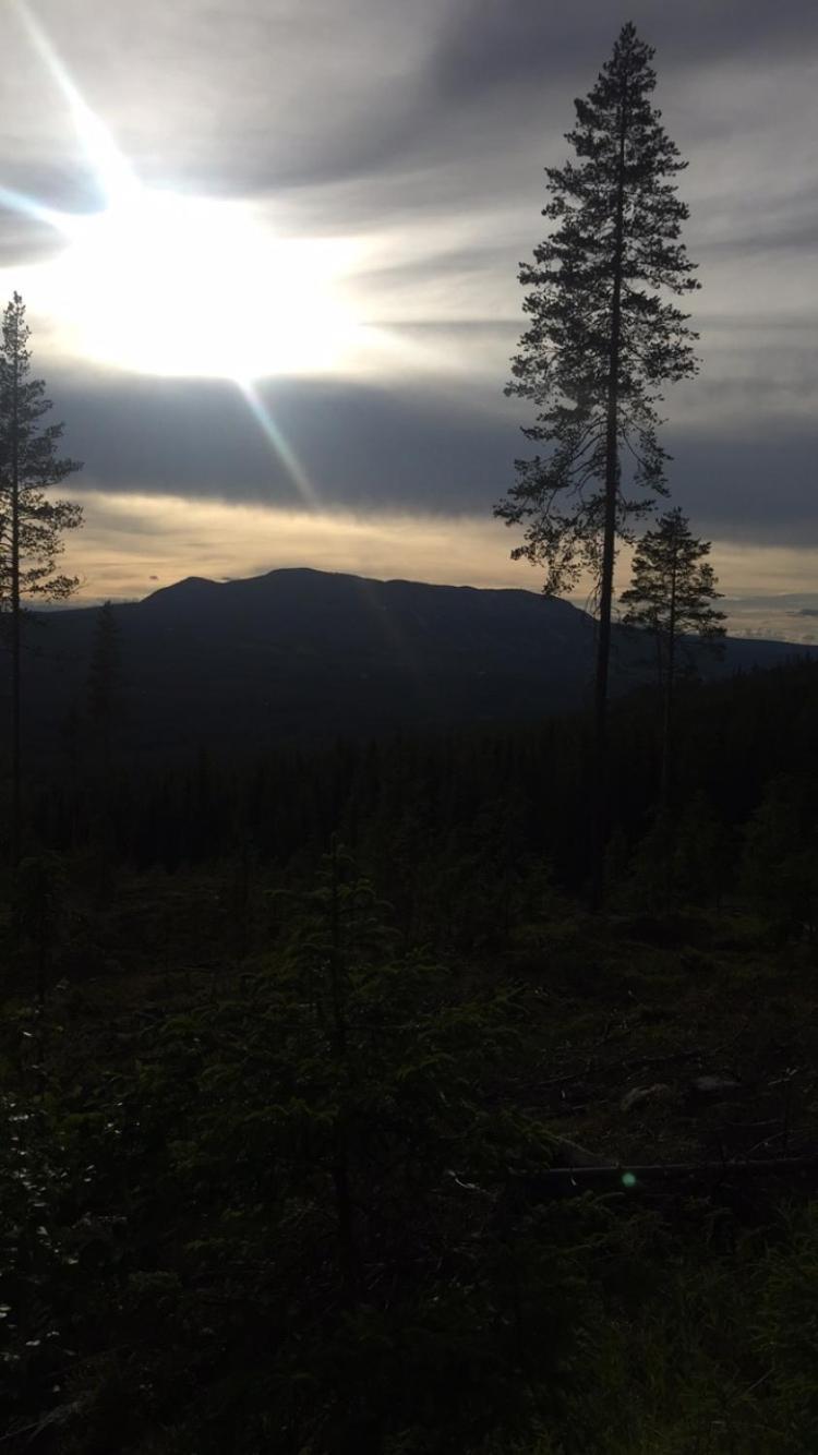 In The Middle Of Trysil Fjellet - Welcome Center - Apartment With 4 Bedrooms And Sauna - By Bike Arena And Ski Lift Eksteriør bilde
